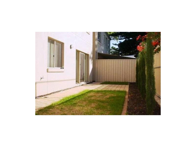 31D Tarlton Street, Somerton Park SA 5044