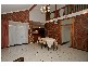 17 Robson Road, Hectorville SA 5073