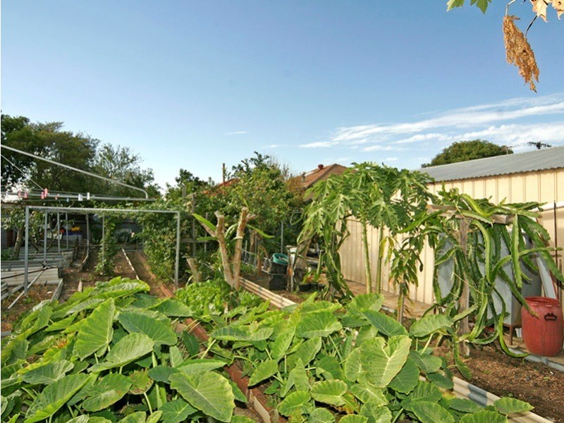 22  Crossley Avenue, Croydon Park SA 5008