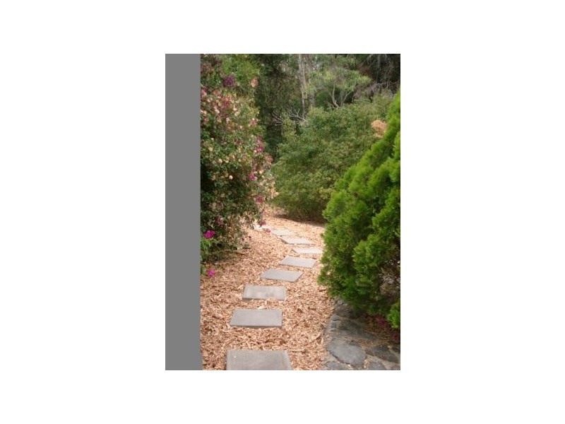 8 Kantilla Drive, Athelstone SA 5076