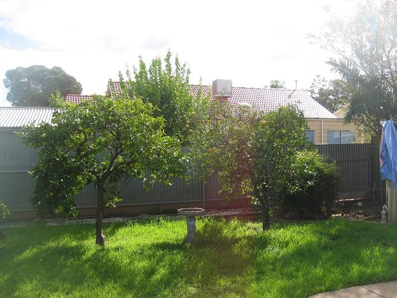 41  Hanson Road, Elizabeth Downs SA 5113
