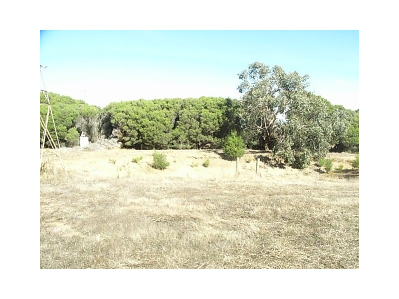 6 Daly Street, Bittern VIC 3918