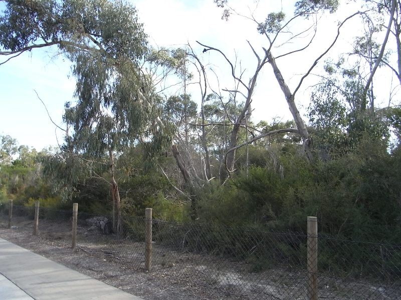 19 James Hird Drive, Hastings VIC 3915