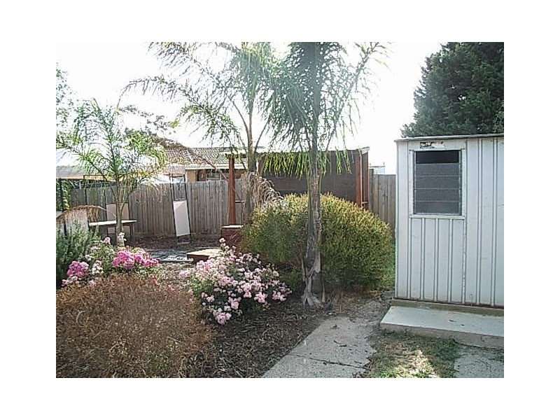 25 Curacoa Drive, Hastings VIC 3915