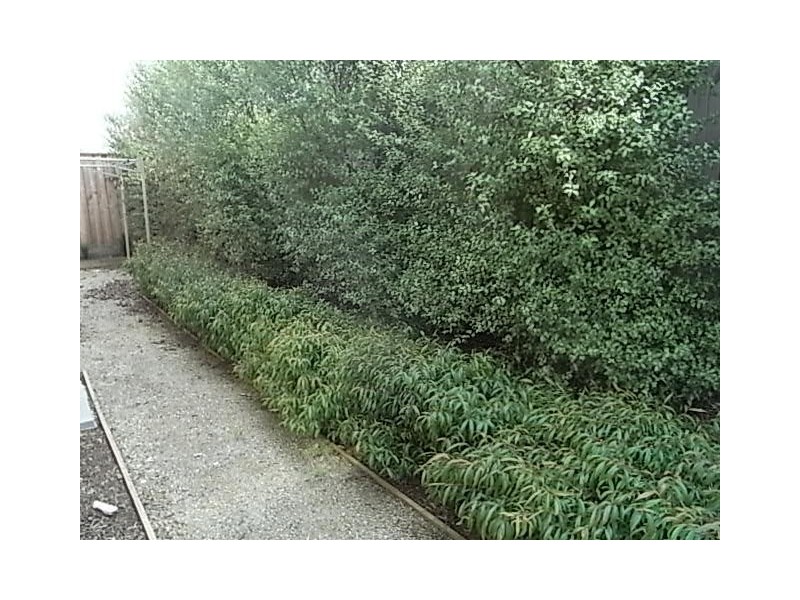 2/2070 Frankston Flinders Road, Hastings VIC 3915