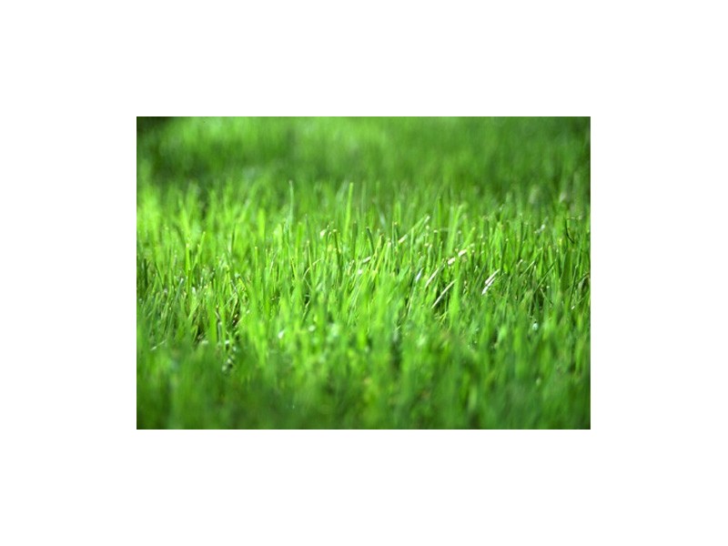 2 Peta Way, Crib Point VIC 3919