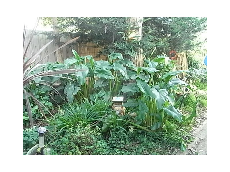 23 Portsmouth Road, Bittern VIC 3918