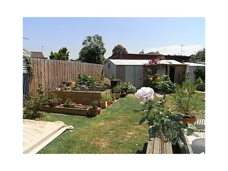 2 Curlew Court, Hastings VIC 3915
