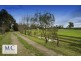 68 Dandenong Hastings Road, Somerville VIC 3912