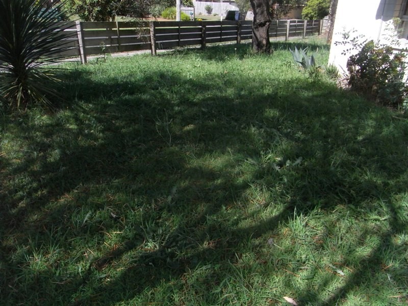 31 Martin Street, Hastings VIC 3915