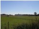 56 Creswell Street, Crib Point VIC 3919