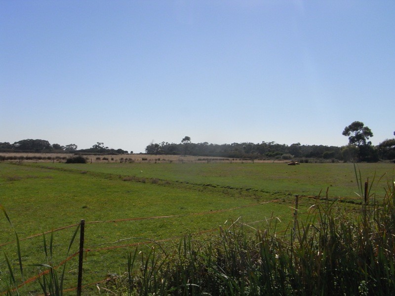 56 Creswell Street, Crib Point VIC 3919