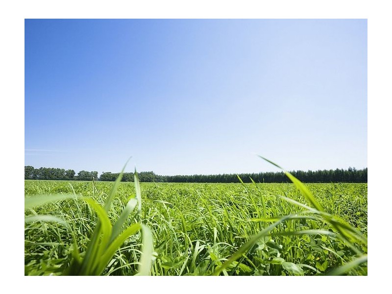 Lot 1/1440 Frankston Flinders Road, Tyabb VIC 3913