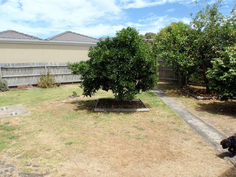 31 Elizabeth Street, Hastings VIC 3915