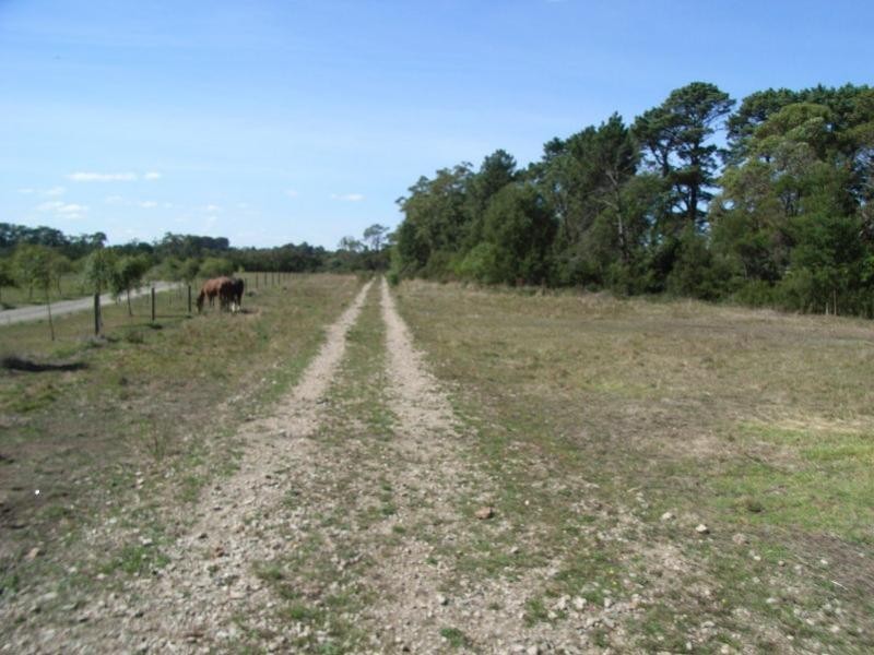 3  Carpenters Lane North, Hastings VIC 3915