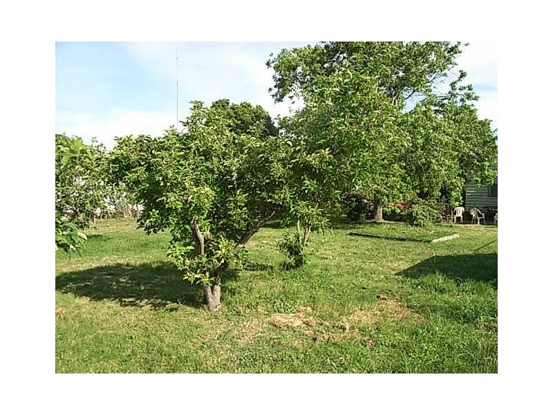 16 & 18 Douglas Street, Hastings VIC 3915