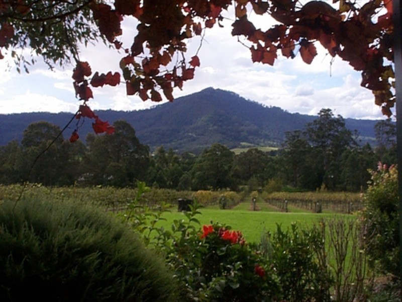 520 Illaroo Road, Cambewarra NSW 2540