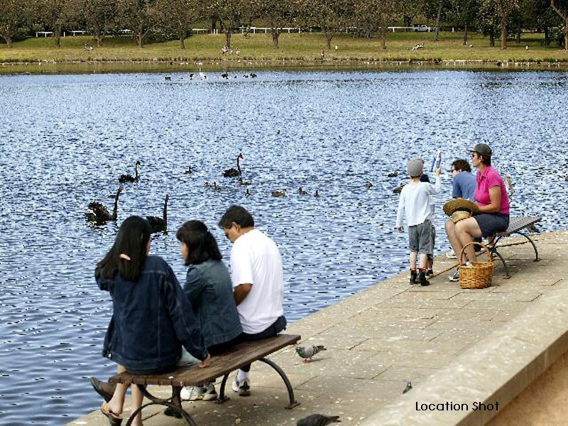 5 Centennial Avenue, Randwick NSW 2031