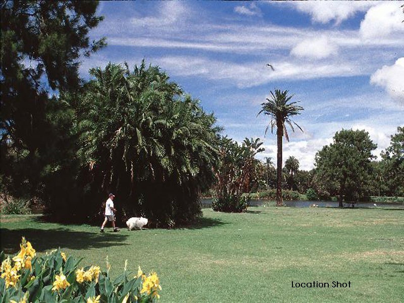 5 Centennial Avenue, Randwick NSW 2031