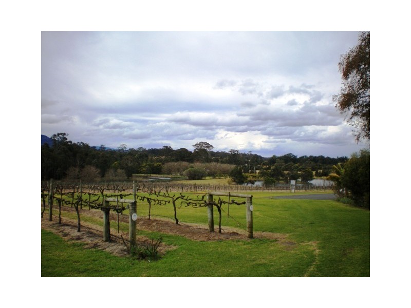 520  Illaroo Rd, Cambewarra NSW 2540