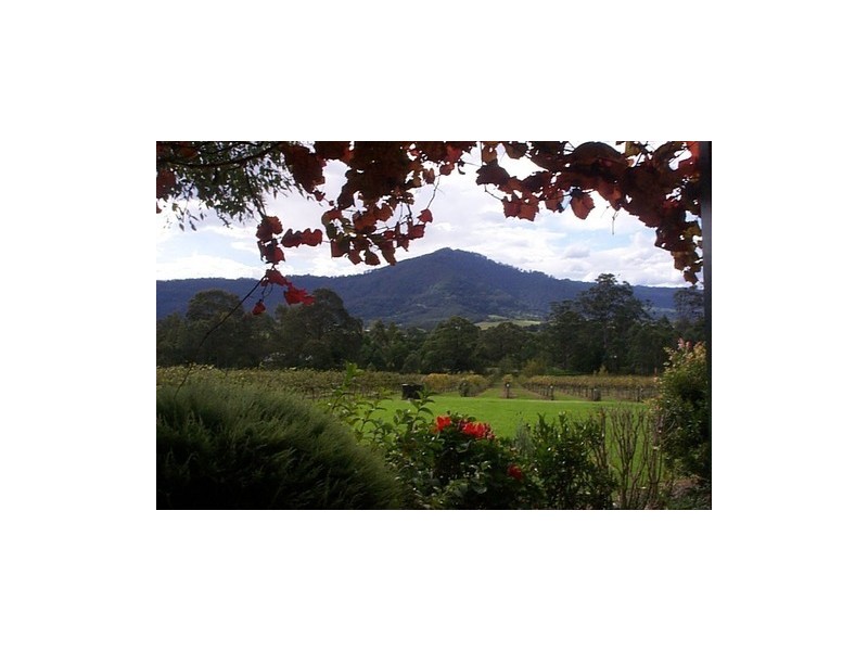 520  Illaroo Rd, Cambewarra NSW 2540