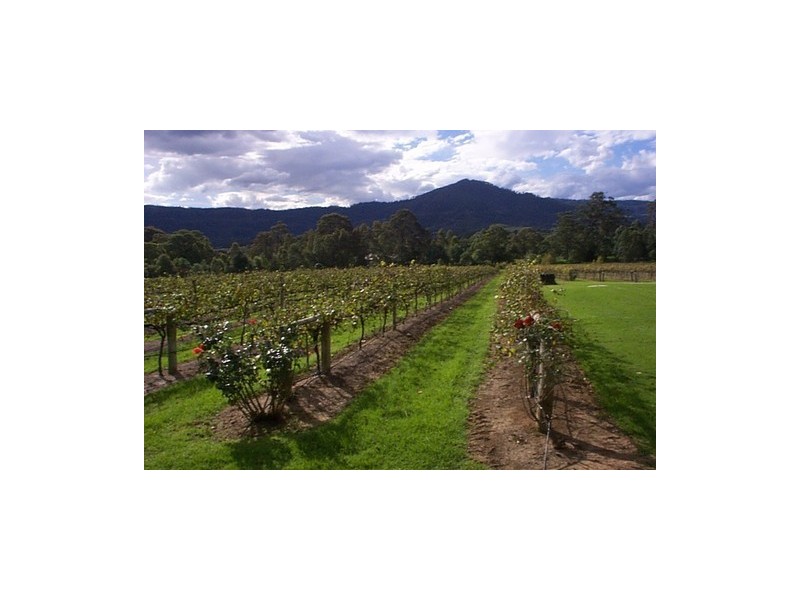 520  Illaroo Rd, Cambewarra NSW 2540