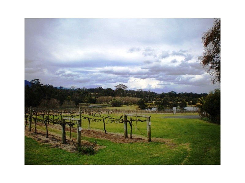 520  Illaroo Rd, Cambewarra NSW 2540