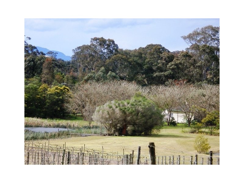 520  Illaroo Rd, Cambewarra NSW 2540