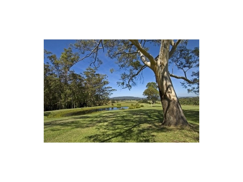 89  Mt Hay Road, Berry NSW 2535