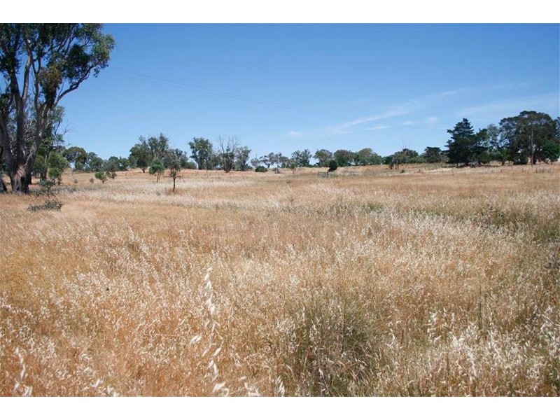 Lot 1 Cnr Bogolong & Airy Street, Bowning NSW 2582