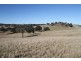573 Murrumbateman Road, Murrumbateman NSW 2582