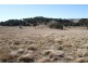 573 Murrumbateman Road, Murrumbateman NSW 2582