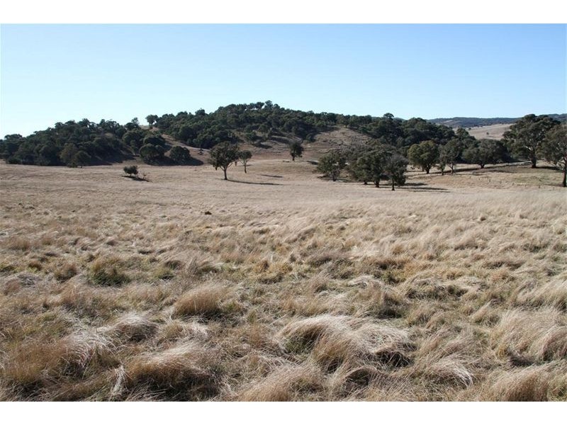573 Murrumbateman Road, Murrumbateman NSW 2582