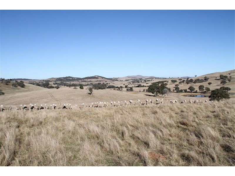 573 Murrumbateman Road, Murrumbateman NSW 2582