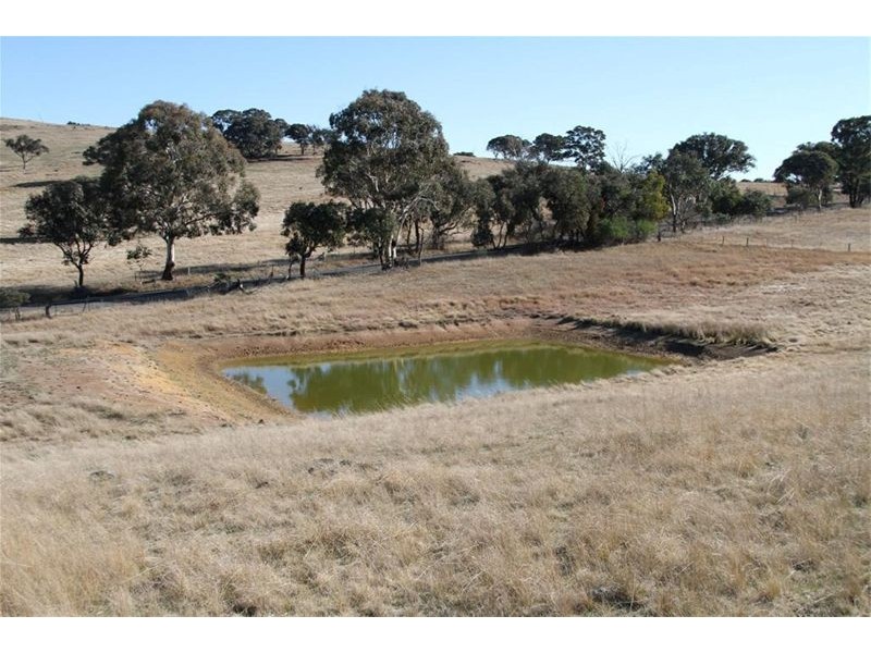 573 Murrumbateman Road, Murrumbateman NSW 2582