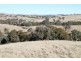573 Murrumbateman Road, Murrumbateman NSW 2582