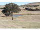 573 Murrumbateman Road, Murrumbateman NSW 2582