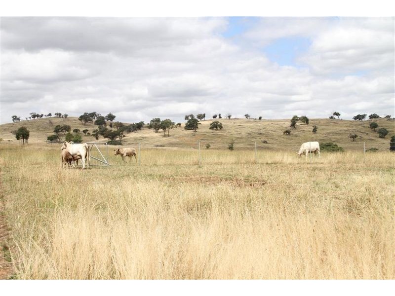 438 Coolalie Road, Yass NSW 2582