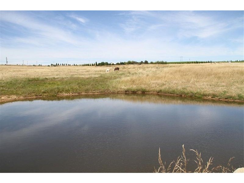 218 Dog Trap Road, Yass NSW 2582