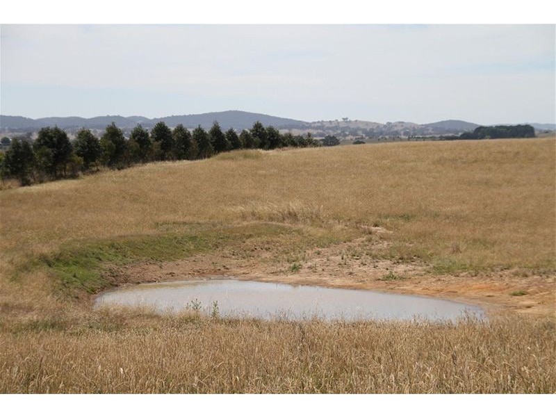 218 Dog Trap Road, Yass NSW 2582