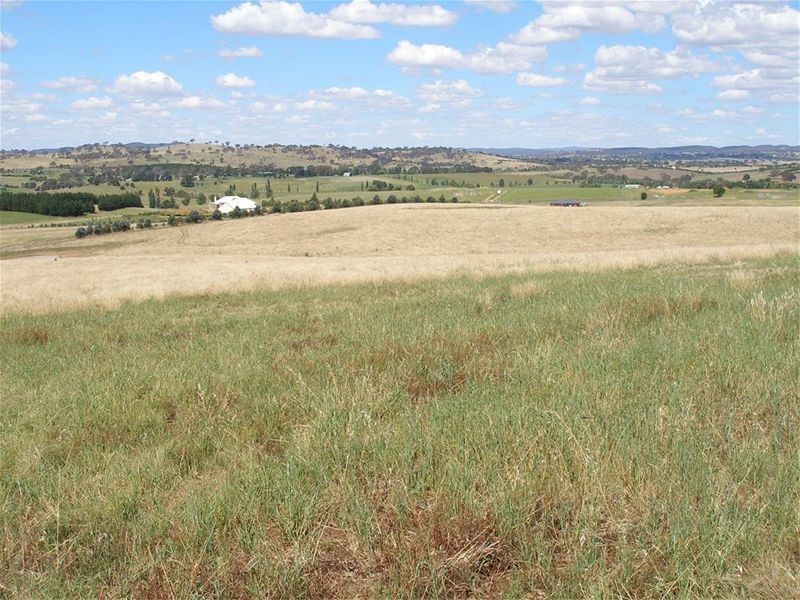 218 Dog Trap Road, Yass NSW 2582