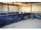 459 Blakney Creek Road, Blakney Creek NSW 2581
