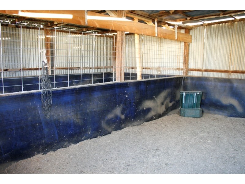 459 Blakney Creek Road, Blakney Creek NSW 2581
