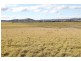 Lot 42 Buckley Road, Yass NSW 2582