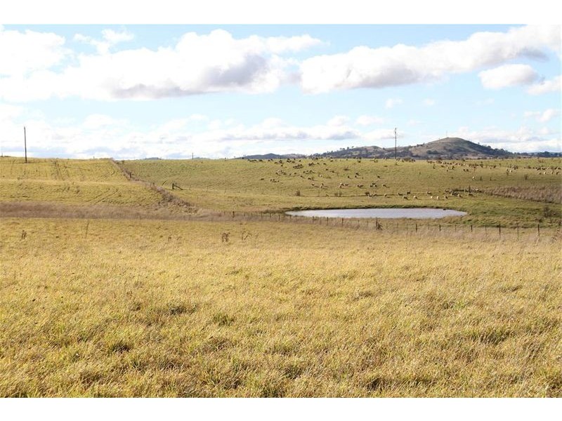 Lot 42 Buckley Road, Yass NSW 2582