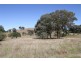 248 Jerrawa Road, Jerrawa NSW 2582