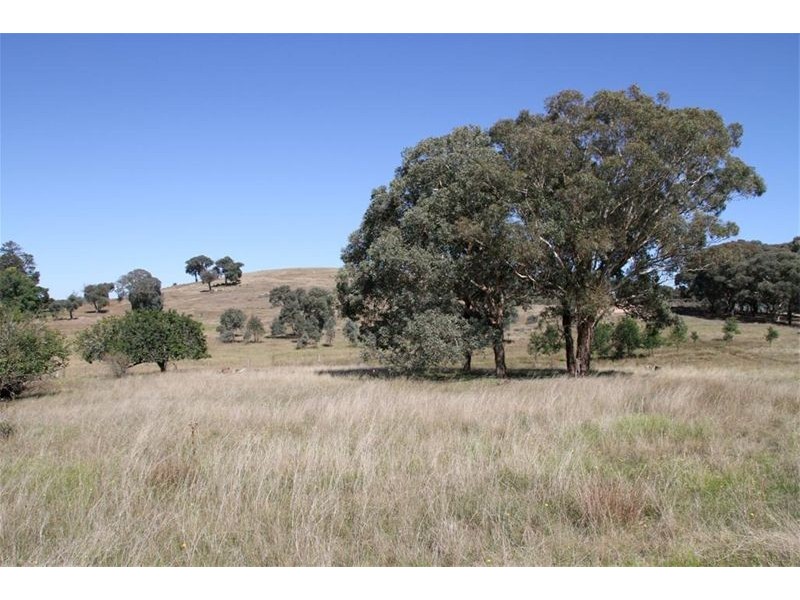 248 Jerrawa Road, Jerrawa NSW 2582