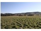 Lot 2 Black Range Road, Yass NSW 2582