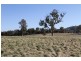 Lot 2 Black Range Road, Yass NSW 2582