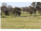 1290 Black Range Road, Yass NSW 2582